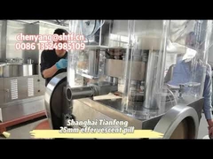 ZP17B tabletkarka do tabletek musujących w kształcie kostki kurczaka