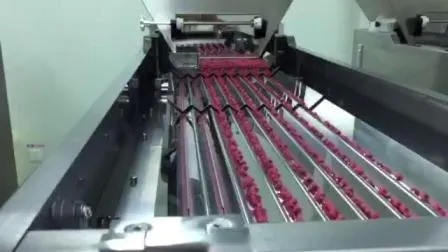 Wysokiej prędkości 380 V linia produkcyjna do napełniania butelek farmaceutycznych z roczną gwarancją na butelki 60 ml 80 ml 100 ml